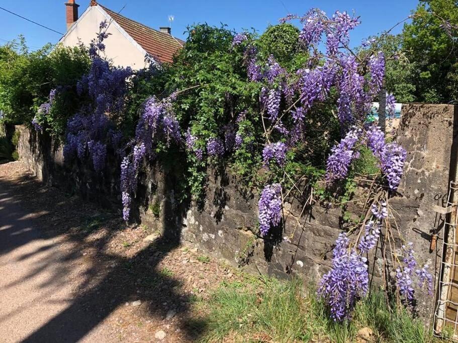 La Petite Maison D'Orphee Marmagne  Exteriör bild